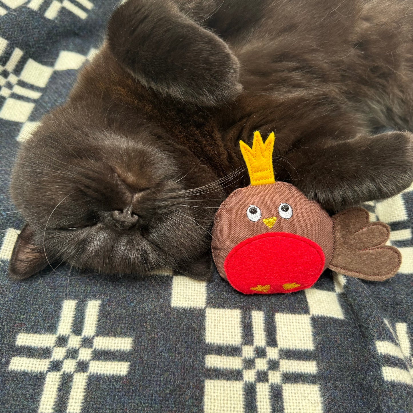 Catnip Fat Robin Cat Toy