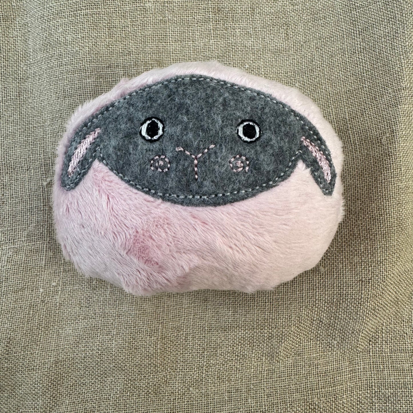 Catnip Daisy the Lamb Cat Toy