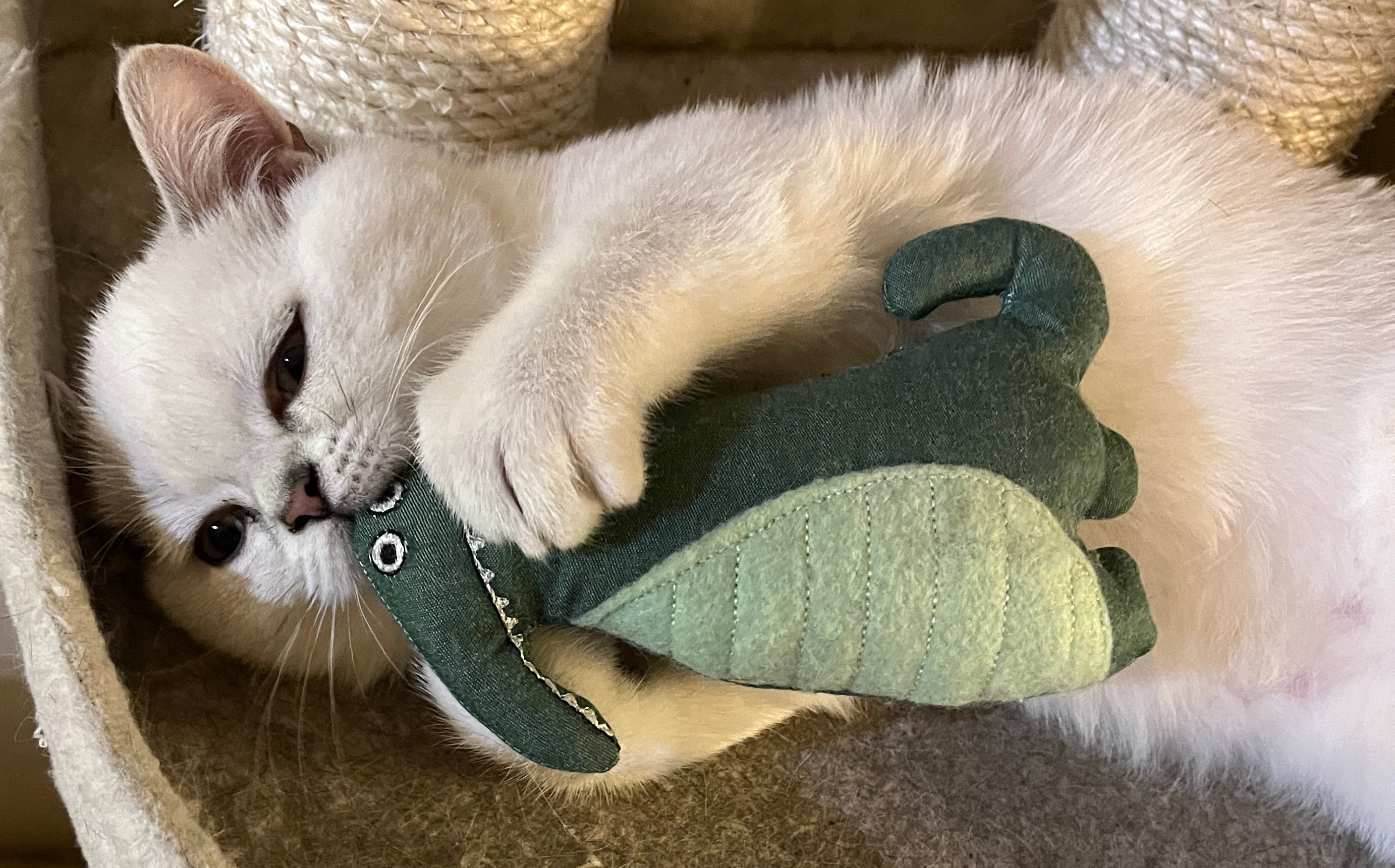 Luxury cheap cat toys