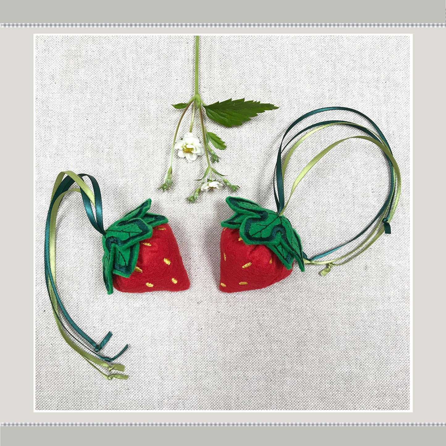 Catnip Cat Toys, Strawberries